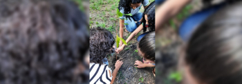 Notícia: Projeto “Palmira Verde” promove ações de preservação do meio ambiente nas escolas 